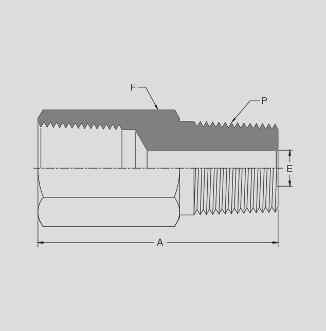 Adapter 2