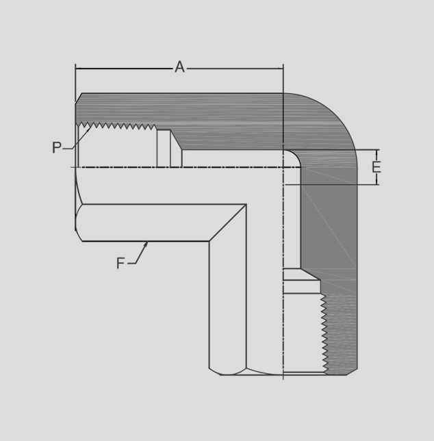 Female Elbow 2