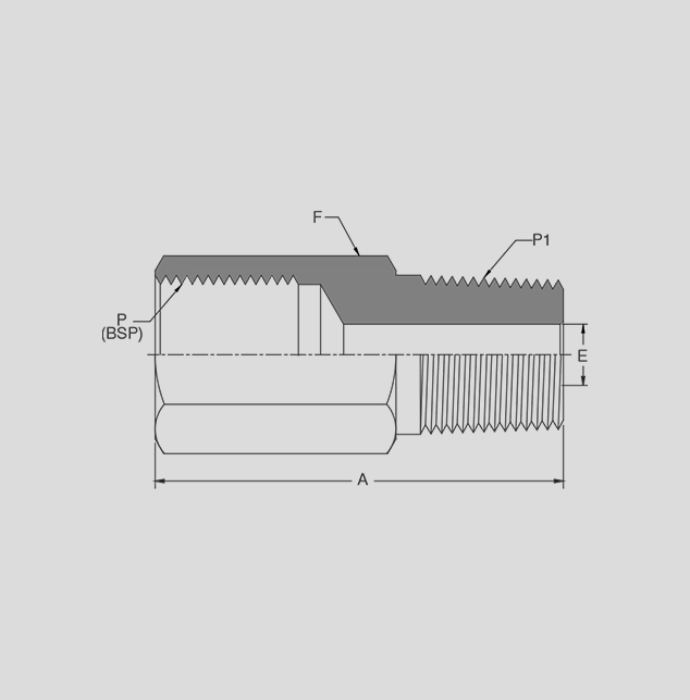 Gauge Adapter 2