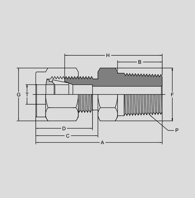 Male Connector 2