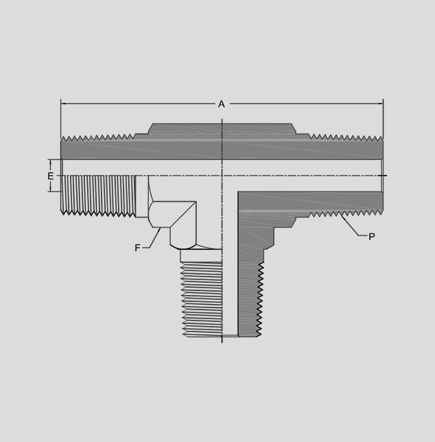 Male Tee 2