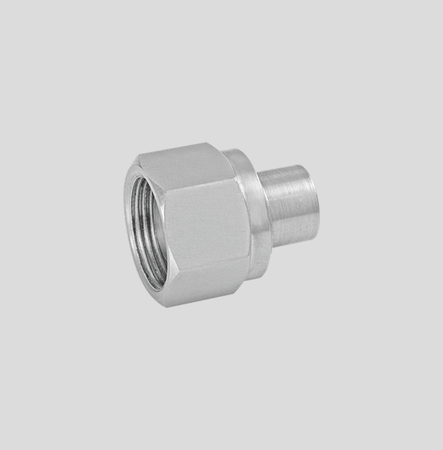 Plug 1